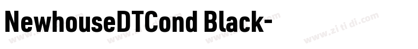 NewhouseDTCond Black字体转换